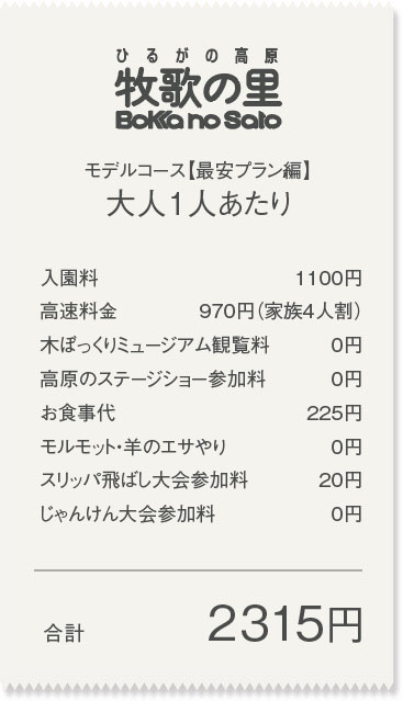 【最安プラン】大人1人あたり合計2315円