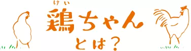 鶏ちゃんとは?